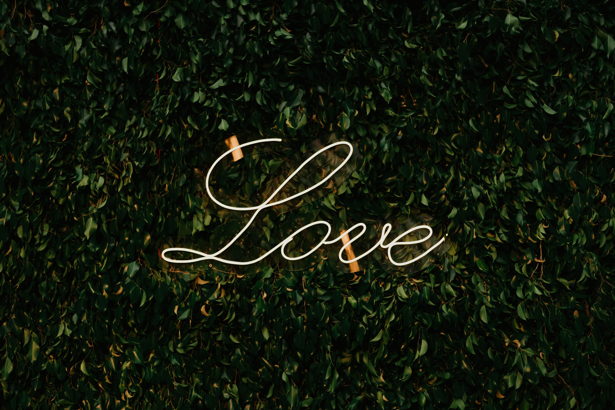 The word Love over a bunch of leaves